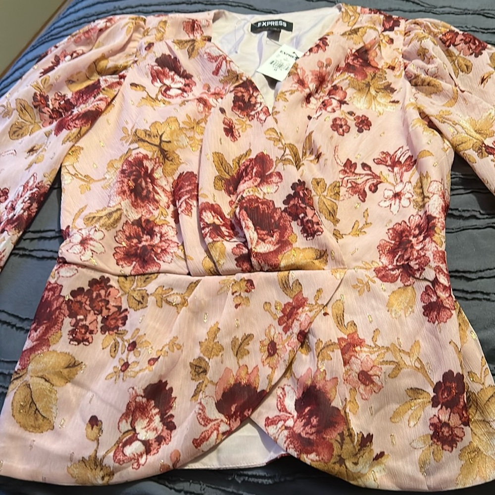 NWT Express sheer long sleeve blouse XS